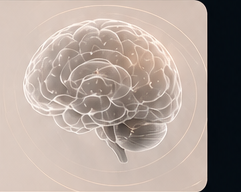 Outlined brain artwork